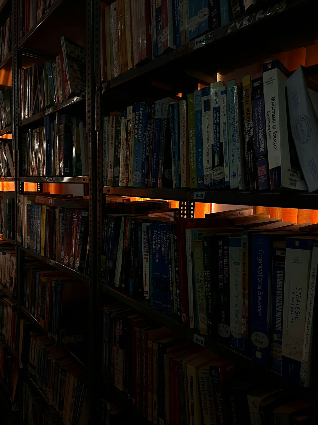 old library bookshelves