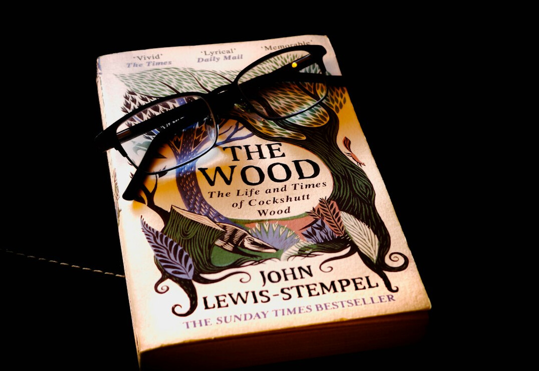 book cover mystery novel